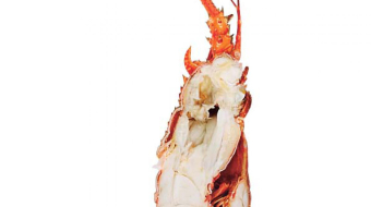 1e77bfeae94ce8e6835f141da13c9e67