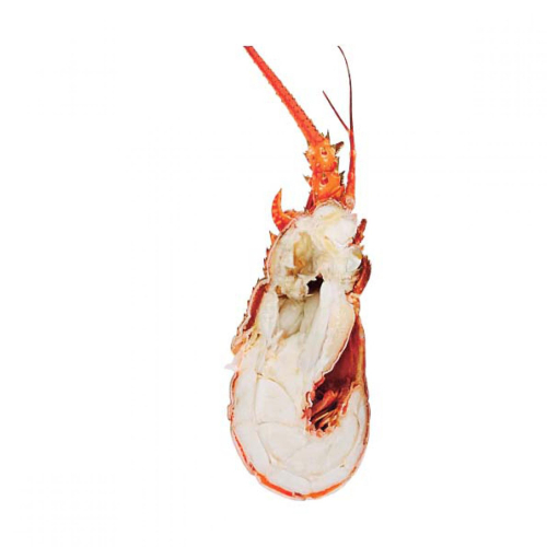 1e77bfeae94ce8e6835f141da13c9e67