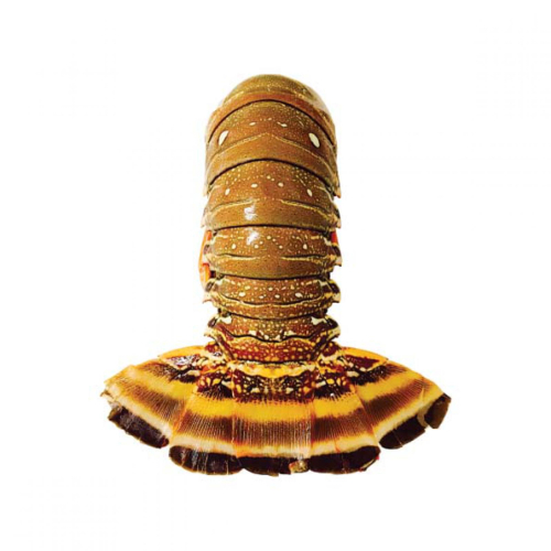 372d3c027de8b6a41dfb61169c1ec96a