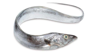 53165a4c2a10917cc6268826a3cf17d3