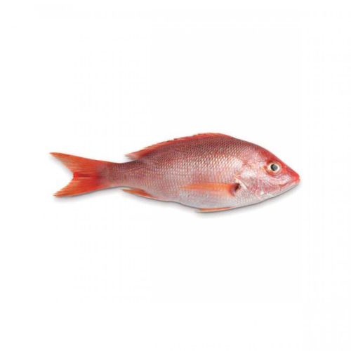 9b278cb8cd602affd100cf2a95413d4d