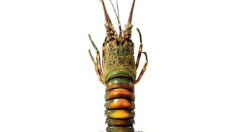 bc71423e7791f763b2ea6cdf8e67fe14