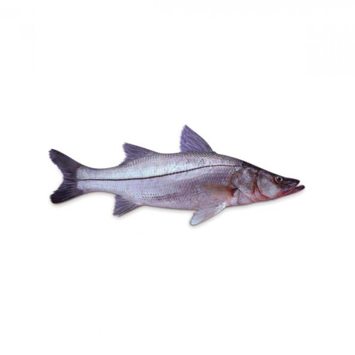 f3f04ae0c81ea3b77a788aa9a4da38b7